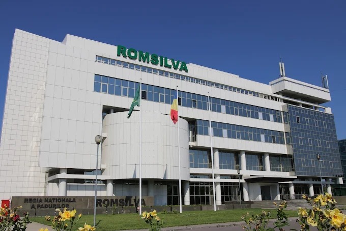 Ministerul Mediului, Apelor și Pădurilor deschide procesul de selecție pentru viitorul Consiliu de Administrație al Romsilva